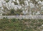 IMG 2856